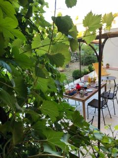 Les Lauriers - Camps-la-Source - 7