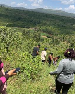 Badili Farmstay - 7
