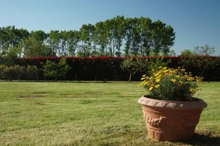 Cascina del Gelso - b&b - Santena - 7