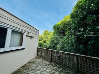 Aro Valley -semi inner city gem with a patio - 8