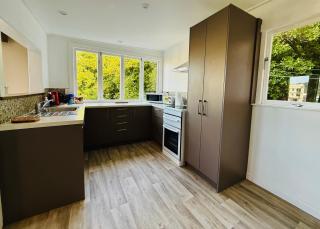 Aro Valley -semi inner city gem with a patio - 2