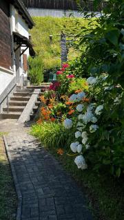 Chalet Piumogna - Faido - 3