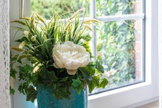 Ferienhaus Schenum - 5