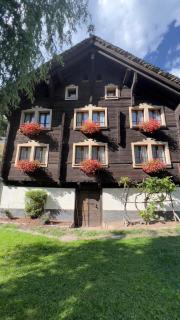 Chalet Piumogna - Faido - 9