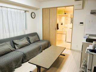 The Emilio 102 Shinjuku Near Shibuya - Tokio - 8