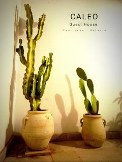 CALEO Guest House - Taurisano - 8
