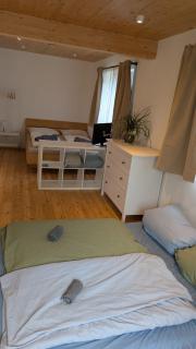 Ferienwohnung Stern mit Terrasse - - 8