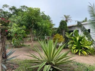 Villa Soforal - Cap Skirring - 7