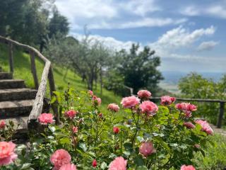 Agriturismo Casa Paradiso - Cortona - 1
