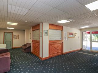 Willow - Newton Abbot - 9