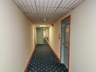 Willow - Newton Abbot - 8