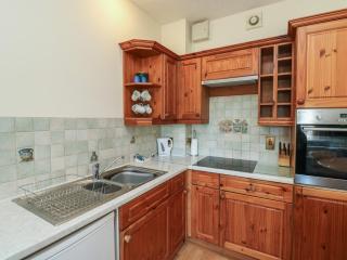 Willow - Newton Abbot - 1