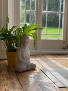 The Retreat New Forest - 8