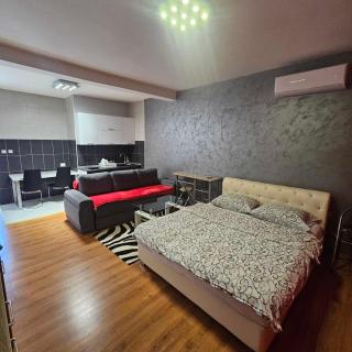 Apartment Savanovic - Banja Luka - 0
