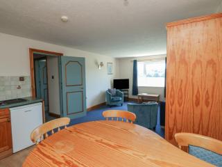 Teal - Newton Abbot - 4