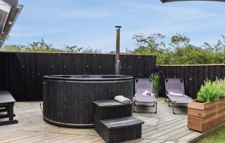 Amazing Home In Hemmet With Sauna - Hemmet - 3
