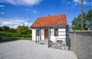 2 Bedroom Pet Friendly Home In Zelezna Gora - 2
