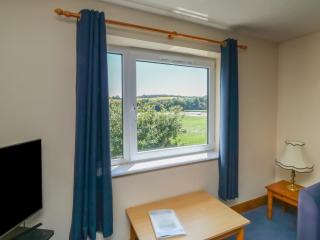 Tern - Newton Abbot - 6