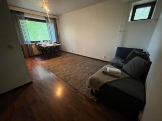 Luxury City Apartments, Ounasvaara - 4