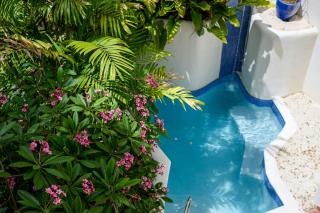 The House, An Autograph Collection All-Inclusive Resort - Adults Only - Saint James - 3