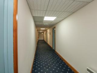 Sycamore - Newton Abbot - 6