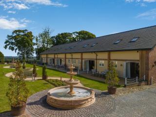 No 5 - Ascot - Uk47943 - Oswestry - 9