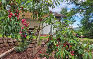 1 Bedroom Lovely Home In Windstein - Windstein - 2