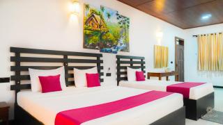 The Cave Regal Hotel - Dambulla - 1
