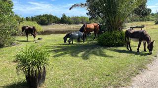 Stoneridge Large Family Cottage - Plettenberg Bay - 3