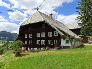 Black Forest Woods - Bernau im Schwarzwald - 4