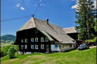 Black Forest Woods - Bernau im Schwarzwald - 3