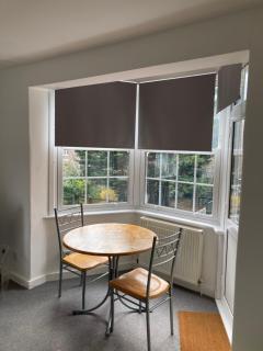 Bright and leafy 1 bedroom - London - 0