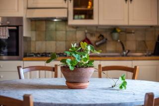 Podere La Speranza - 4