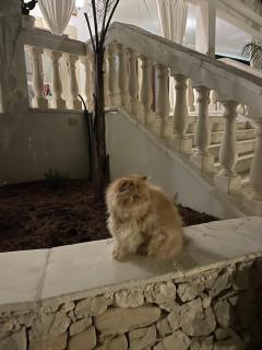 A CASA NOSCIA - BB SAN PIETRO IN BEVAGNA Charming house - 3