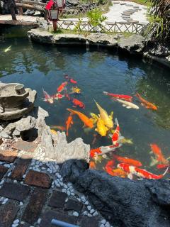 Temple Stay - Diem Phung Pagoda - 6