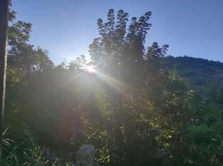 Villa de Castro - Villar de los Barrios - 5