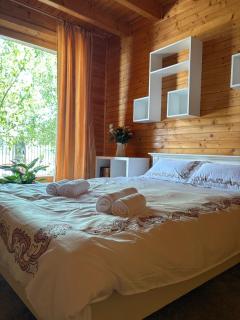 Forest & Lake House - Dumbrăviţa - 9