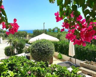 Appartamenti FRANCIS sul mare - Santa Cesarea Terme - 6