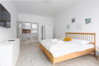 Apartment - 2 bedrooms, kitchen, close to metro - Prague - 9