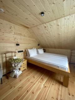 Gremi Hotel - Dragobrat - 0