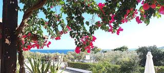 Appartamenti FRANCIS sul mare - Santa Cesarea Terme - 7