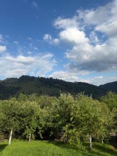 Gap Mountain House - 8