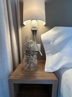 Hotel Solana del Ter - Ripoll - 5