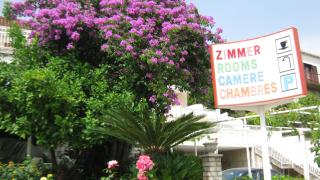 Perun Guest House - 3