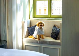 Kimpton BEM Budapest by IHG - 4