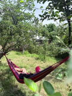 Dan guest house - Pokrovka - 9