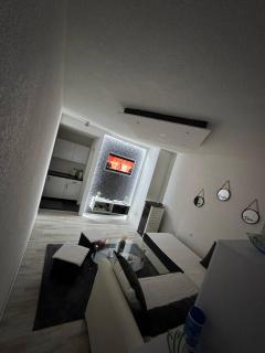 Luxury Apartman Dzafic - 6