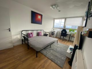 Patio Flat near Notting Hill - Londra - 8