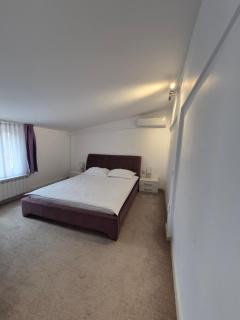 Apartament Magnolia Nearby City Center With Parking - Hermannstadt - 6