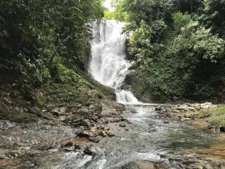 Pura Natura Lodge Arroyo - 4